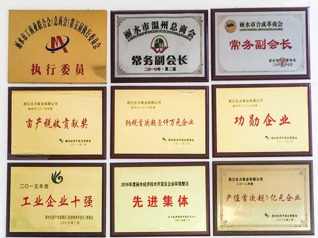公司榮譽(yù)